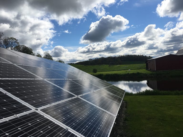 Solar Panels in a picturesque green backyard with pond in background